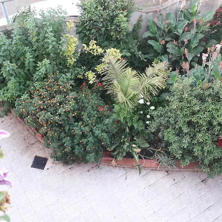 Le Petunie Bari Sardo