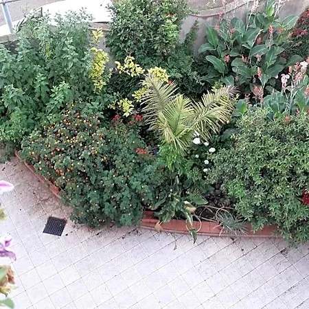 Le Petunie 3* Bari Sardo