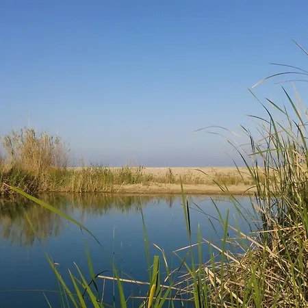 Le Petunie Apartments Bed and Breakfast